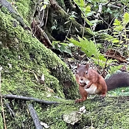 Heart Of بيت للعطل