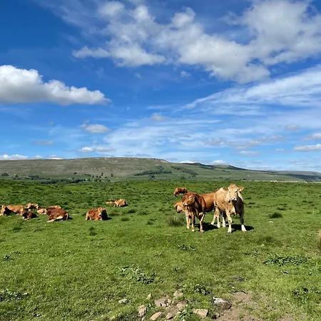 بيت للعطل Heart Of *