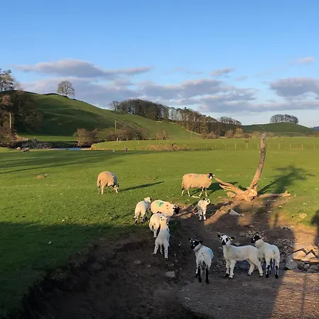 Heart Of * هاويس