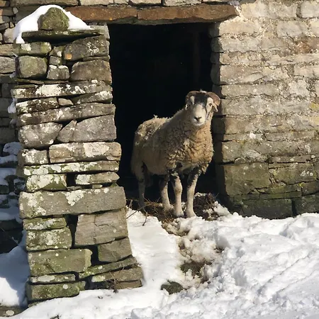 Heart Of Ferienhaus *